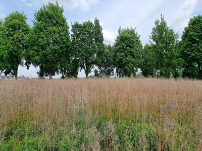 Działka na sprzedaż, Wrocławski, Kobierzyce, Księginice