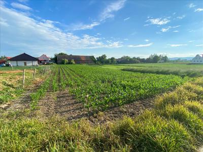 Działka na sprzedaż, Ząbkowicki, Jaworek