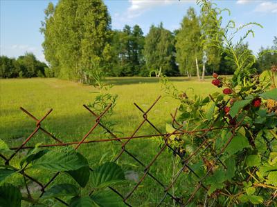 Działka na sprzedaż, Zgierski, Stryków gm, Anielin Swędowski