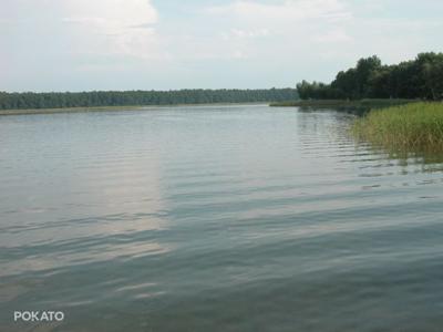 Działka nad jeziorem powidzkim w Ostrowie