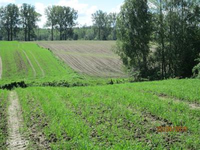 DZIAŁKA rolno-budowlana na Mazurach