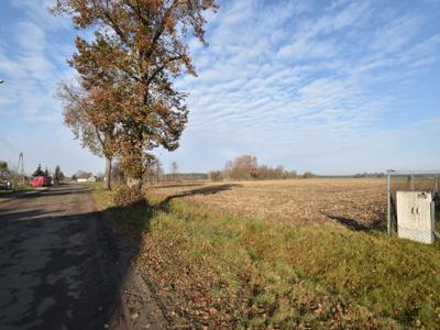 Bierutów Oleśnicki Dolnośląskie Biuro Nieruchomości