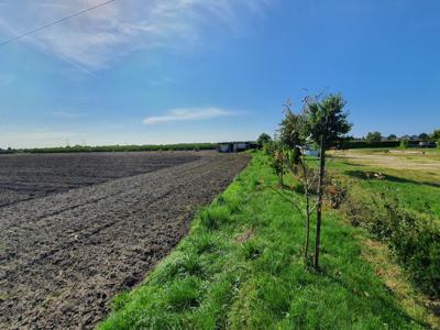 Międzyrzec Podlaski Bialski Lubelskie Biuro Nieruchomości