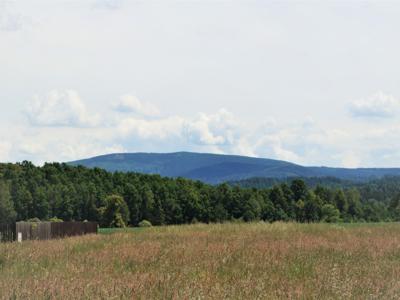 Łomnica Mysłakowice Karkonoski Dolnośląskie Biuro Nieruchomości