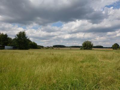 Wierzbie Koszęcin Lubliniecki Śląskie Biuro Nieruchomości