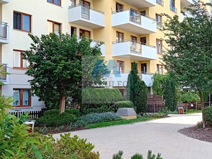 Apartament, ul. Ryżowa