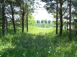 Działka rekreacyjna na sprzedaż Grądzkie