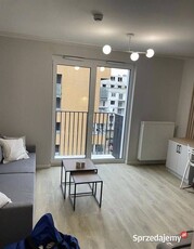 2pok, 33met, Okolice Braterskiej BALKON/WINDA/2023 (Wrocław)