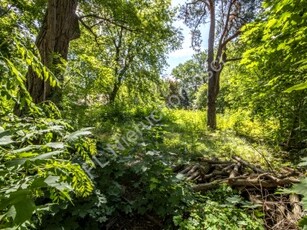 Działka budowlana Milanówek