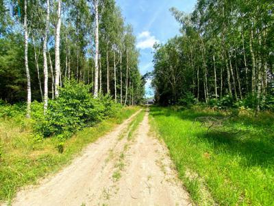 Działka budowlana Dzierżązna gm. Zgierz,