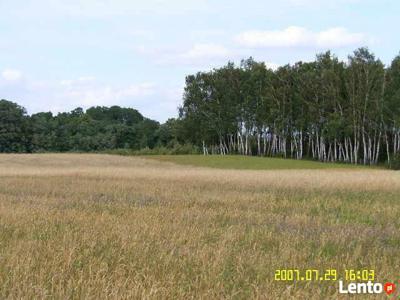 Działka budowlana Maszna gm. Teresin