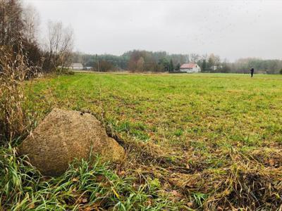 Działka na sprzedaż, Nowodworski, Cieksyn