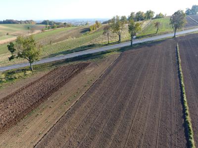 Działka rolna, 1600 m2 do zagospodarowania