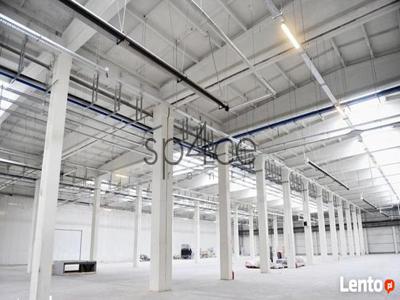 Hala/Magazyn/Warehouse, 1 400 m², Wrocław