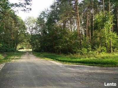 Letniskowe do całorocznej zabudowy i leśne w Świerczynie