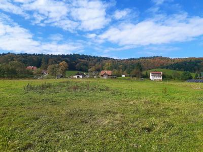 Okolice Zalewu Solińskiego – działka 72 ar Rajskie