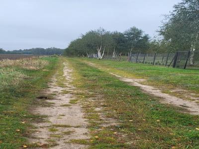 Sochaczewski, Nowa Sucha, Nowy Białynin