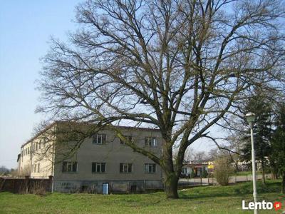 sprzedam budynek biurowy w Lubaszczu k. Nakła n Notecią