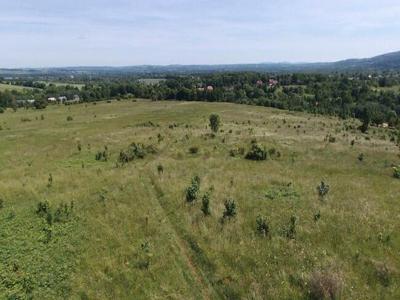 Sprzedam działkę rolną 7,39 ha Dolnosląskie, Pobiedna.