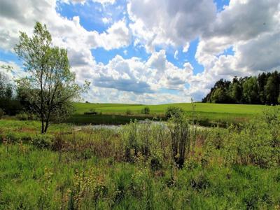 Starogardzki, Zblewo, Pałubinek