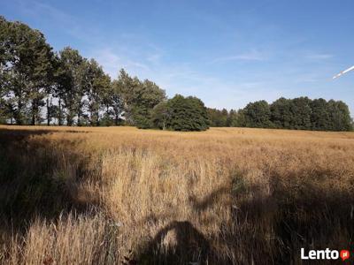 Złoże bursztynu - Działka rolna 4,8 ha - Możdżanowo - Okazja