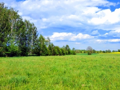 Działka blisko lasu i jezior, 3000 m2