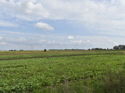 Działka budowlana Błonie, ul. Cegłowa