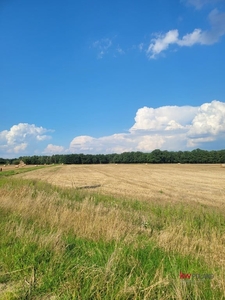 Działka inna Grzebienisko