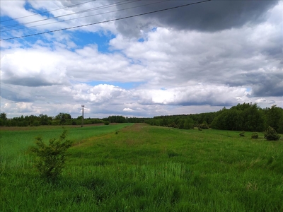 Działka na sprzedaż, łaski, Nowe Kozuby