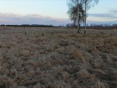 Działka na sprzedaż, Bełchatowski, Wola Mikorska