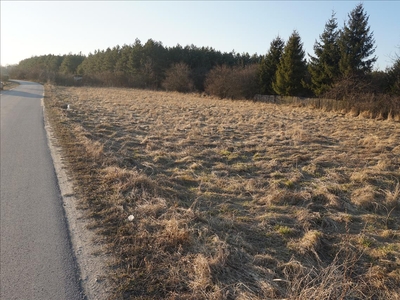 Działka na sprzedaż, Kielecki, Drugnia