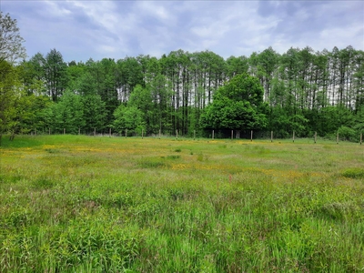 Działka na sprzedaż, Miński, Kałuszyn