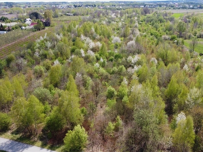 Działka na sprzedaż, Radom, Krychnowice