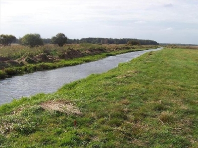 Działka na sprzedaż, Siedlecki, Ozorów