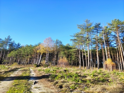 Działka na sprzedaż, Starogardzki, Kasparus