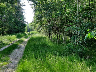 Działka na sprzedaż, żuromiński, Bądzyn