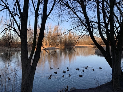 Działka na sprzedaż, Warszawa, Wilanów