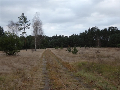 Działka na sprzedaż, Warszawski Zachodni, Gołaszew