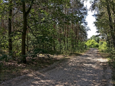 Działka na sprzedaż, Warszawski Zachodni, Izabelin gm, Izabelin C