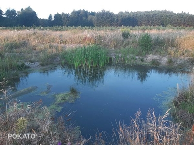 Działka rolna - 1,11 ha - na sprzedaż