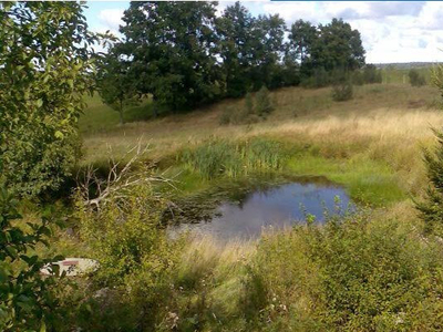 Działka rolna na sprzedaż Szemud