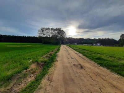 Działka w środku lasu, Aleksandrów Łódzki