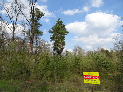 Piękna działka we wsi Bubel - Łukowiska nad Bugiem