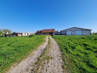 Syndyk sprzeda gospodarstwo rolne 17,13 ha - Kornele, Stary Dzierzgoń