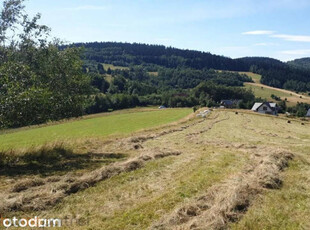 Działka do sprzedania Walim Adama Mickiewicza 3566m2