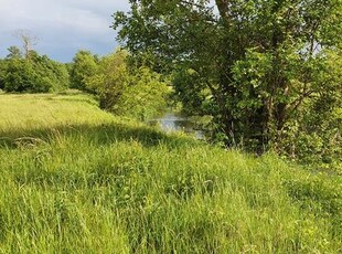 Działka rekreacyjna nad rzeką 80 km od Warszawy