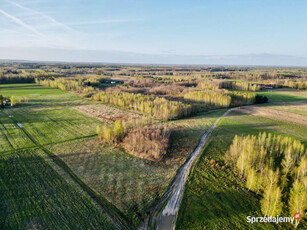 Działka rolni-budowlana 2,95h Żalin, gm. Ruda-Huta