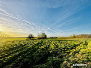 Działka rolno-budowlana 1,32ha w miejsciwisci Żali