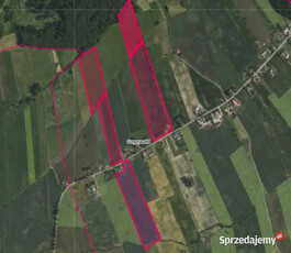 Gospodarstwo rolne 17 ha bez zabudowań - Ziemia rolna