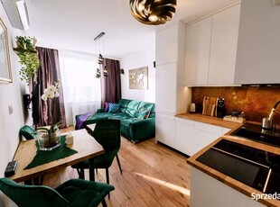 Mieszkanie Apartament ,,Rezydencja Walenty